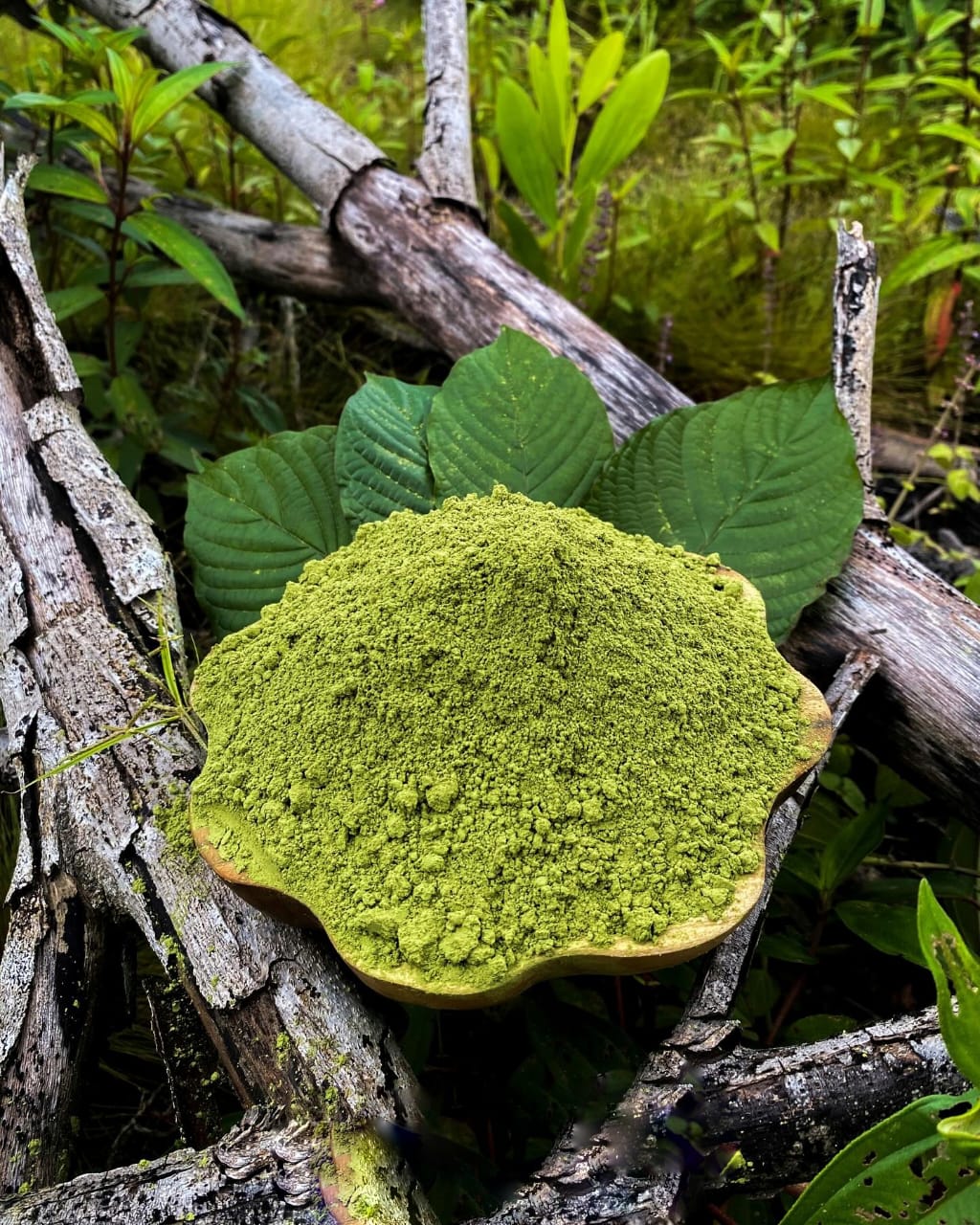 kratom großhandel b2b