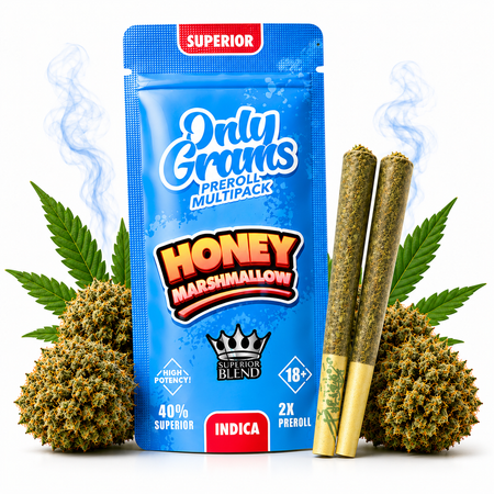 OnlyGrams® | 40% Superior Pre-Rolls (2 Stk.) | Honey Marshmallow 3g grosshandel