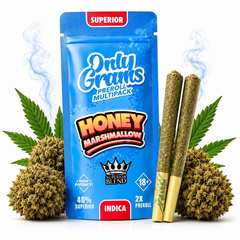 OnlyGrams® | 40% Superior Pre-Rolls (2 Stk.) | Honey Marshmallow 3g grosshandel