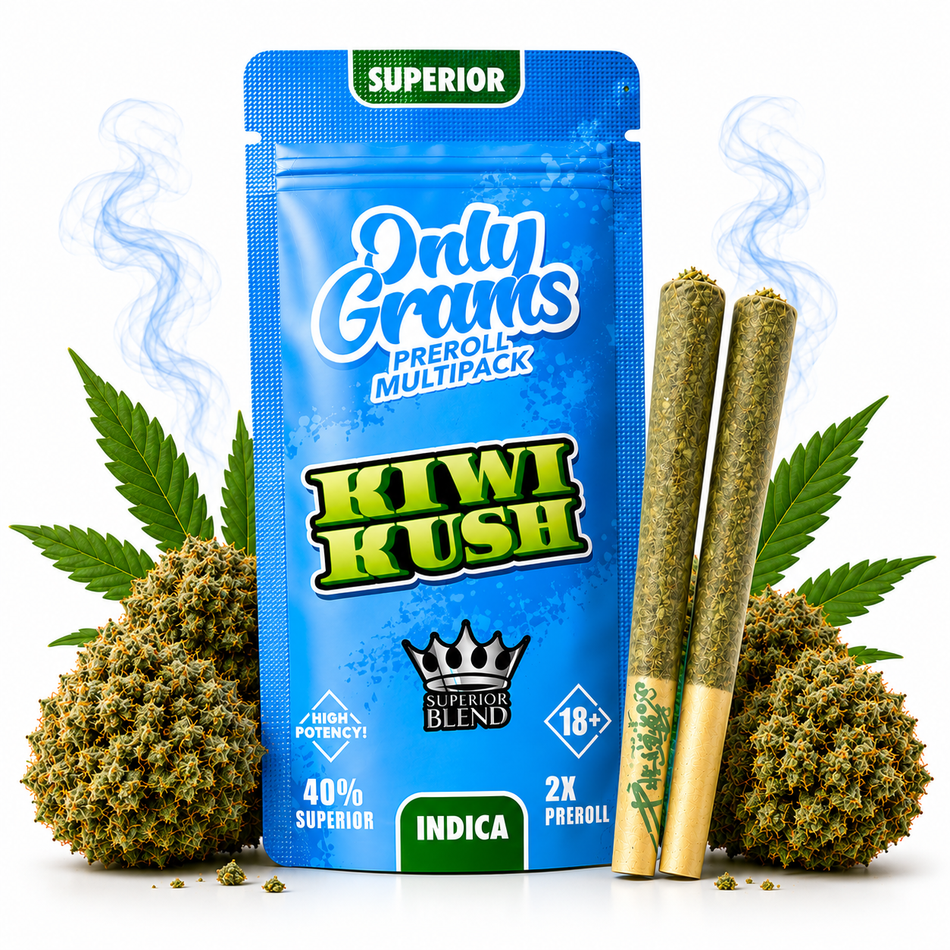 OnlyGrams® | 40% Superior Pre-Rolls (2 Stk.) | Kiwi Kush 3g grosshandel
