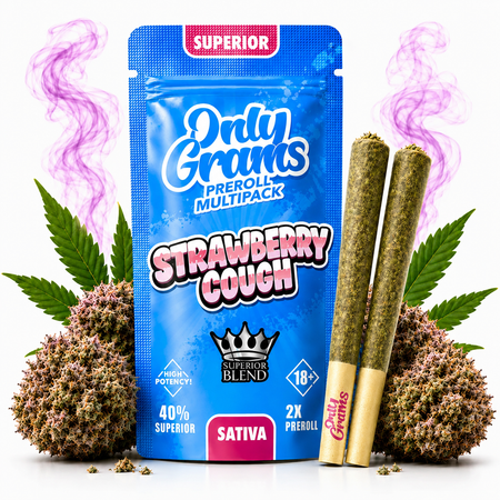 OnlyGrams® | 40% Superior Pre-Rolls (2 Stk.) | Strawberry Cough 3g grosshandel