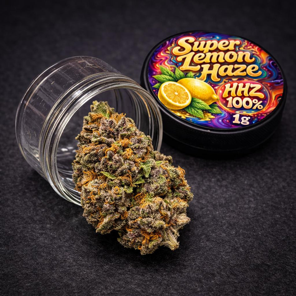 Prime Haze HHZ Blüten | Super Lemon Haze