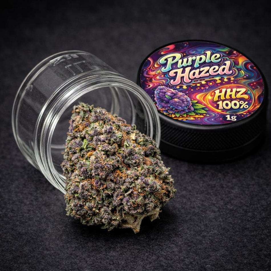 Prime Haze HHZ Blüten | Purple Hazed