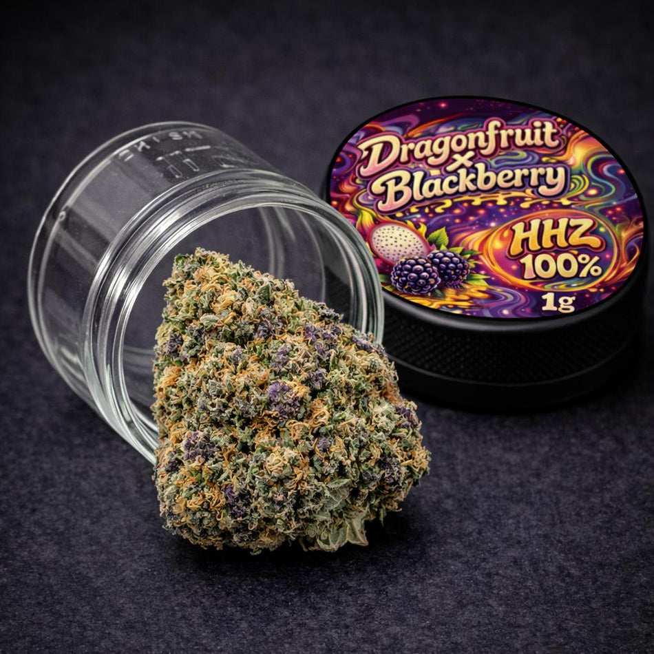 Prime Haze HHZ Blüten | Dragonfruit x Blackberry