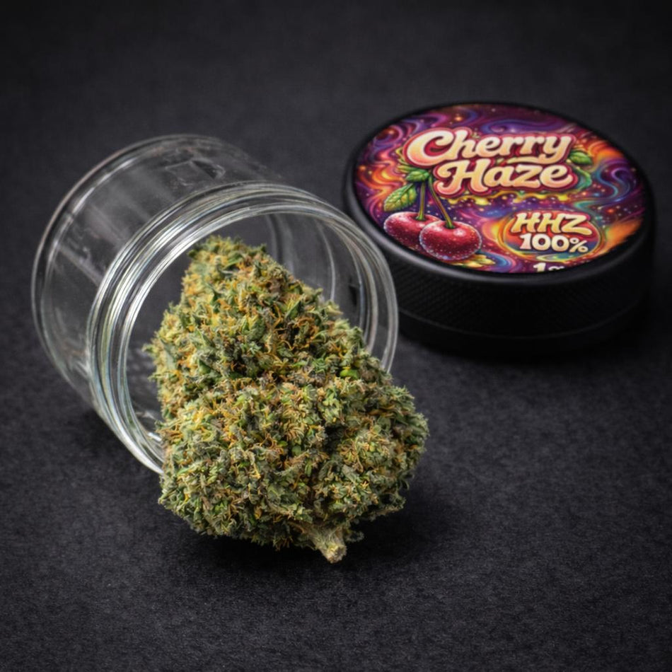 Prime Haze HHZ Blüten | Cherry Haze
