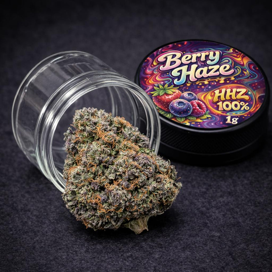 Prime Haze HHZ Blüten | Berry Haze