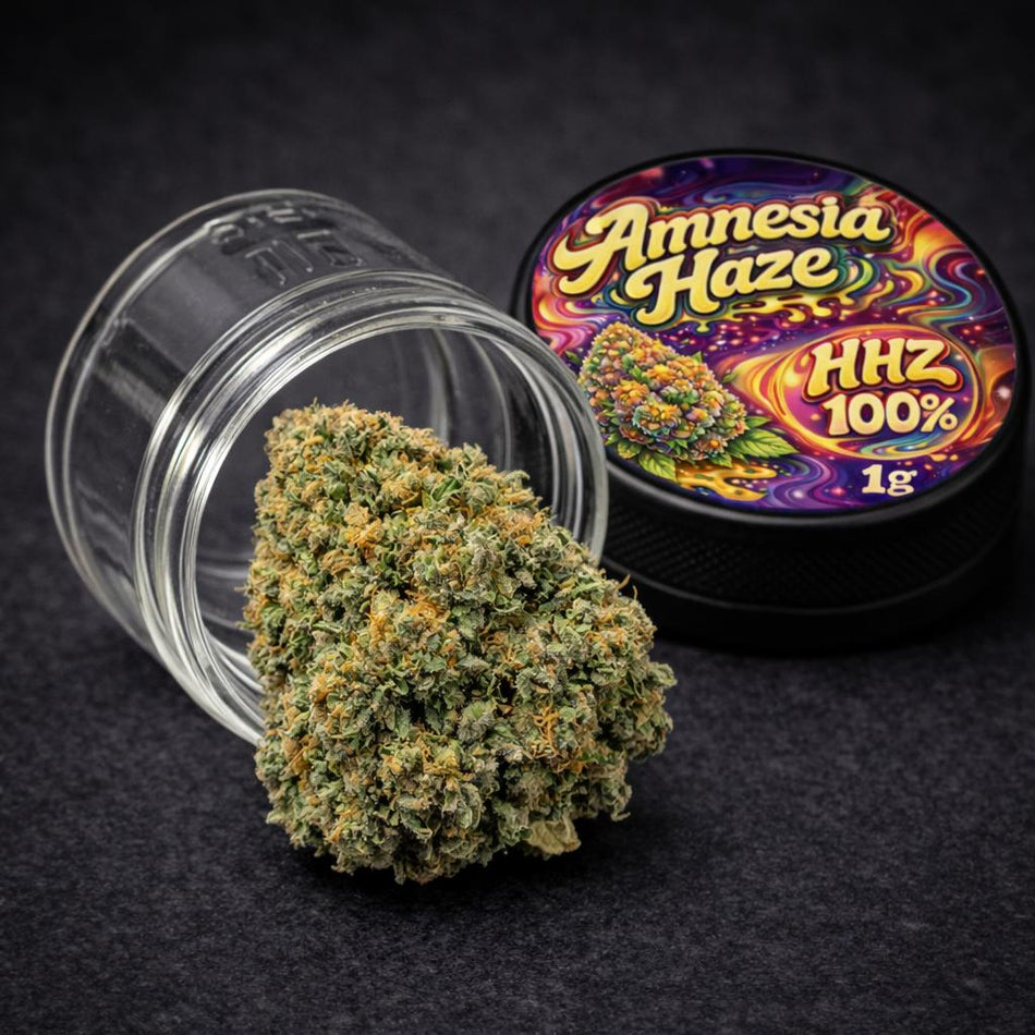 Prime Haze HHZ Blüten | Amnesia Haze