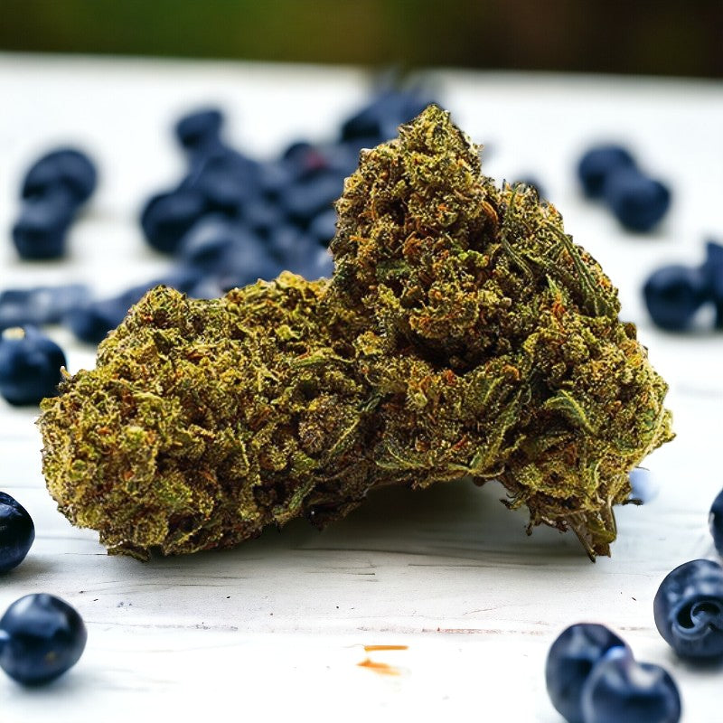 Blueberry CBD Blüten | 6-8% CBD 0% THC