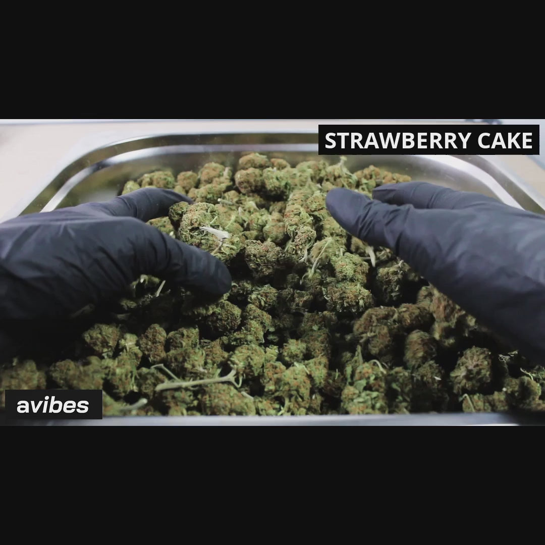 avibes® Strawberry Cake Blüten | 12-15% CBD